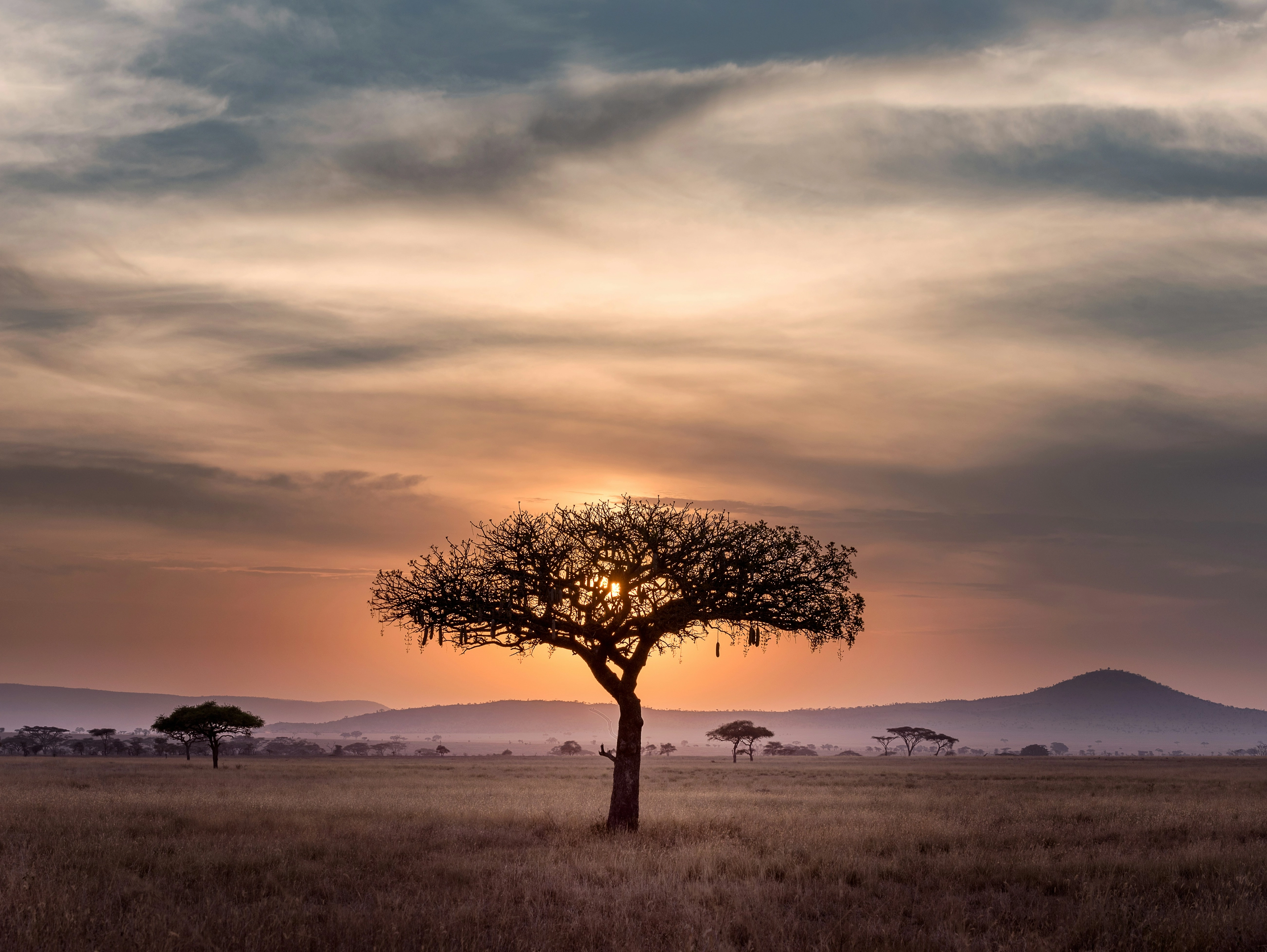 Paysage du Sénégal
